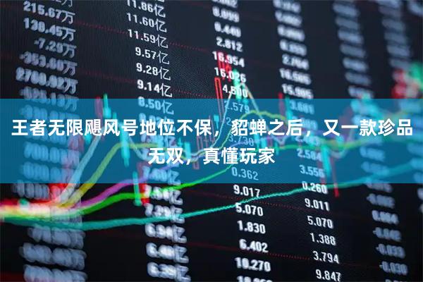 王者无限飓风号地位不保，貂蝉之后，又一款珍品无双，真懂玩家